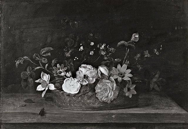 A. C. Cooper — Ijkens Frans - sec. XVII - Natura morta con cesto di fiori — insieme